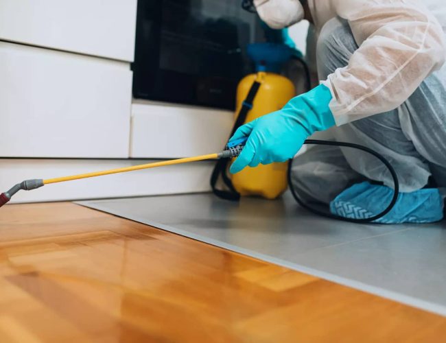 Pest Control Services: Safeguarding Your Home, Business, and Health from Pest Threats